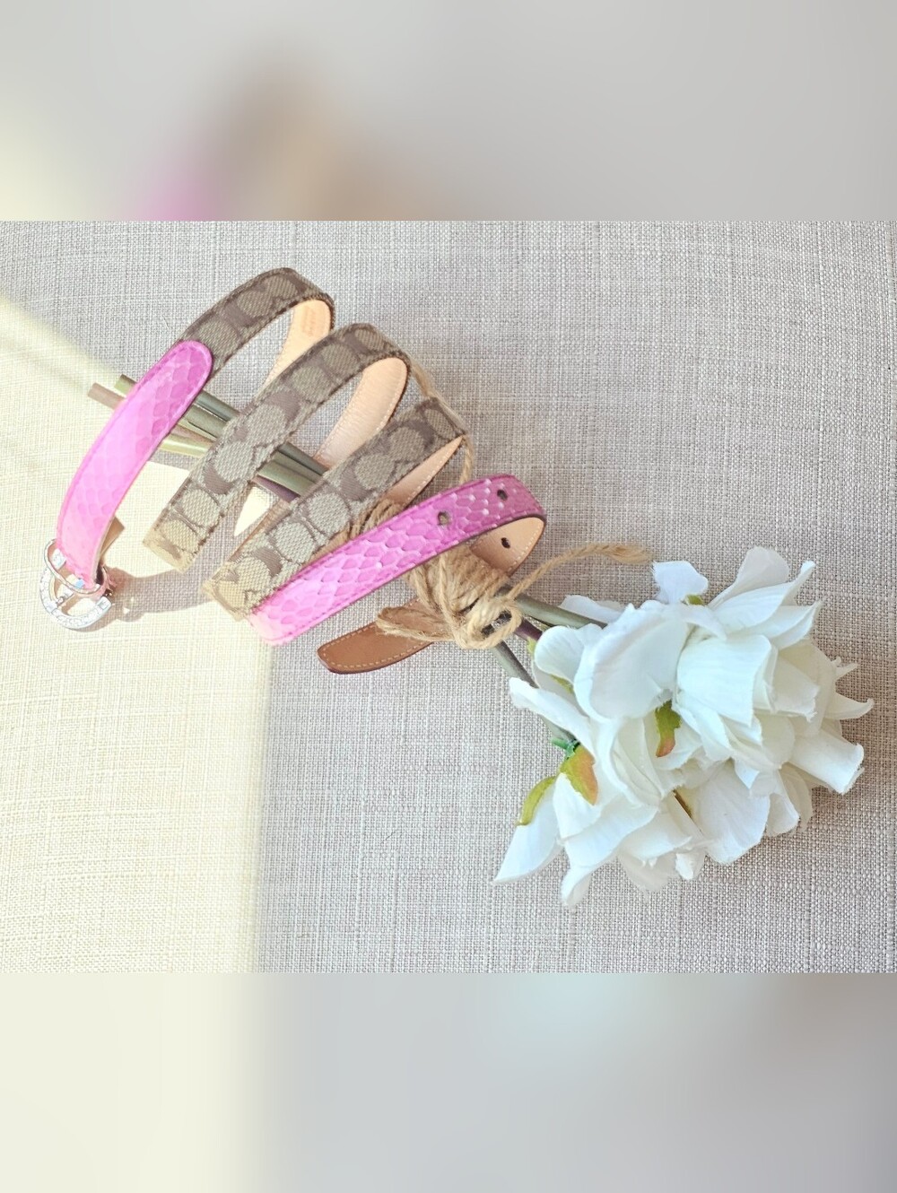 Vintage Coach Signature Genuine Python & Swarovski Crystal Belt ( Pink )